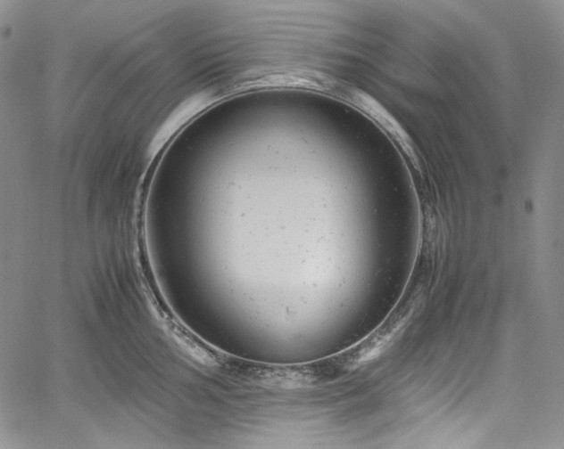 X0000061761002200512021505