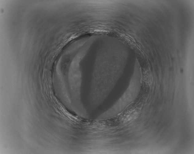 X0000061761009200512021504