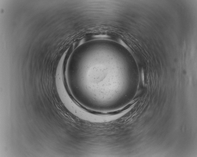 X0000061761010200512021504
