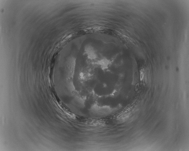 X0000061761011200512021504