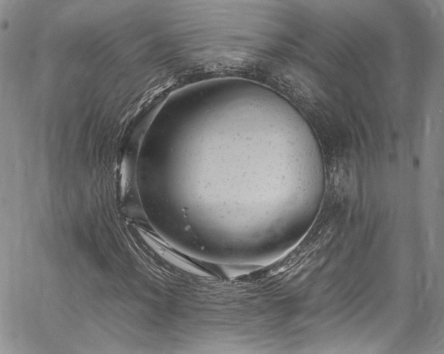 X0000061761012200512021504