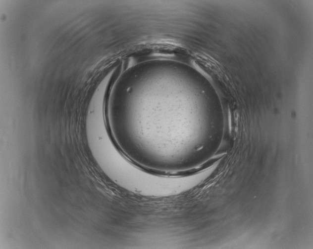 X0000061761014200512021504