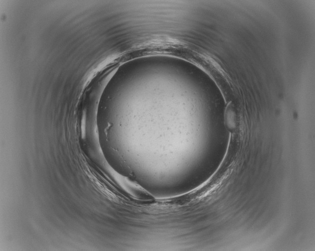 X0000061761018200512021504