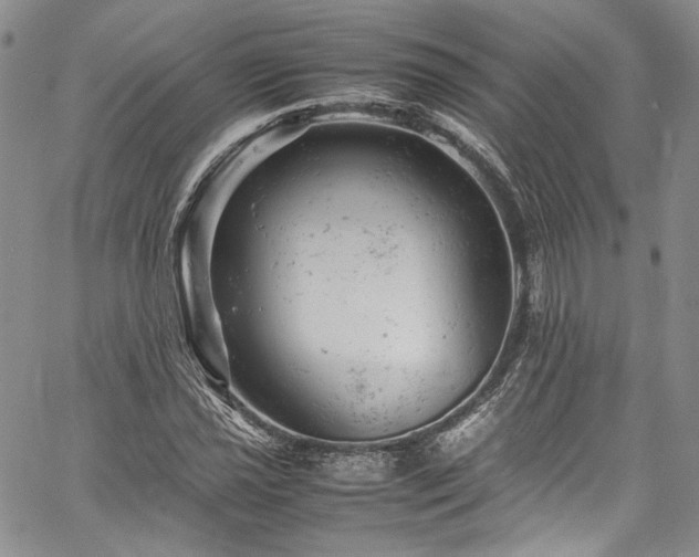 X0000061761021200512021504