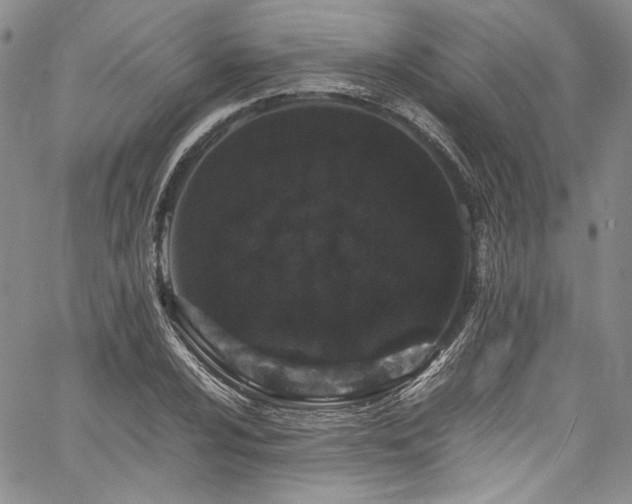 X0000061761024200512021504