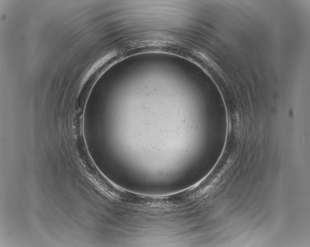 X0000061761026200512021504