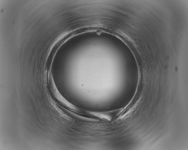 X0000061761029200512021504