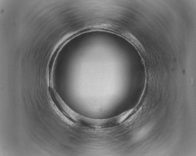 X0000061761036200512021504