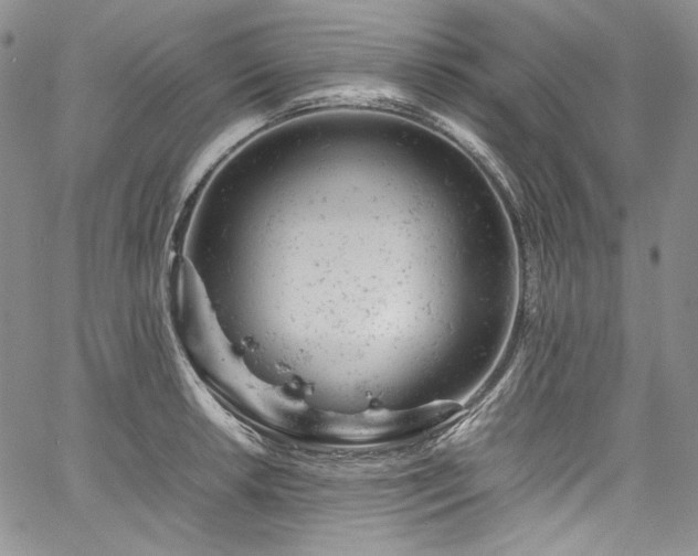 X0000061761042200512021505
