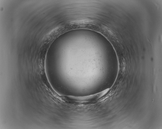 X0000061761062200512021504