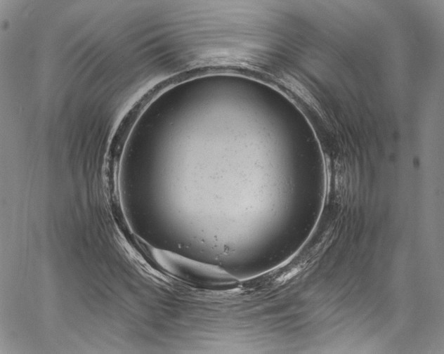 X0000061761068200512021504