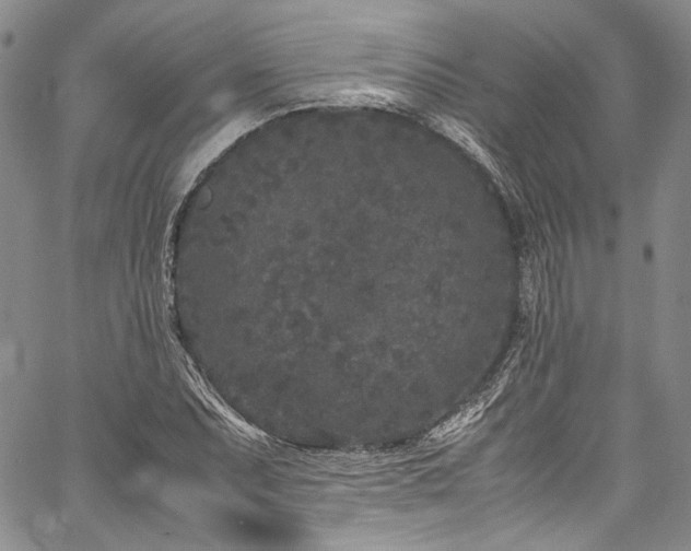 X0000061761071200512021504