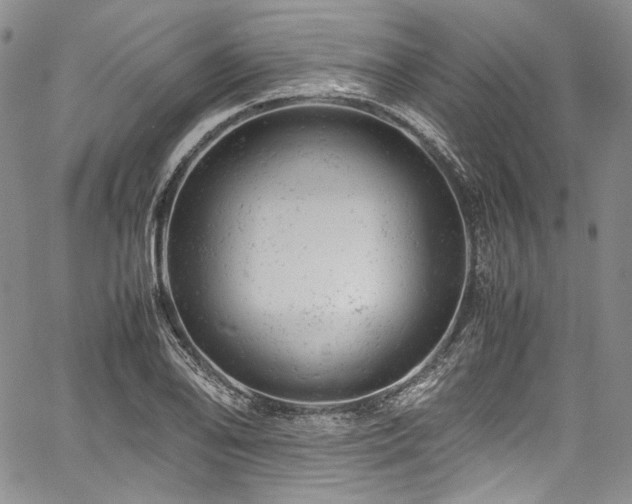 X0000061761078200512021504