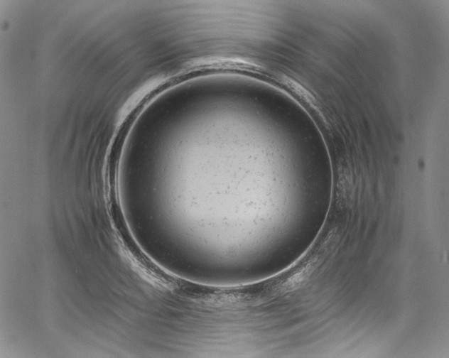 X0000061761082200512021504