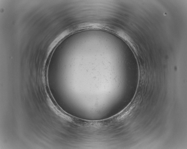 X0000061761090200512021503