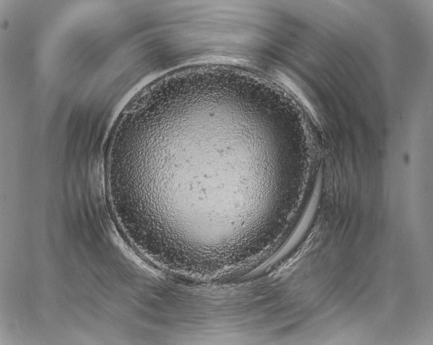 X0000061761092200512021503