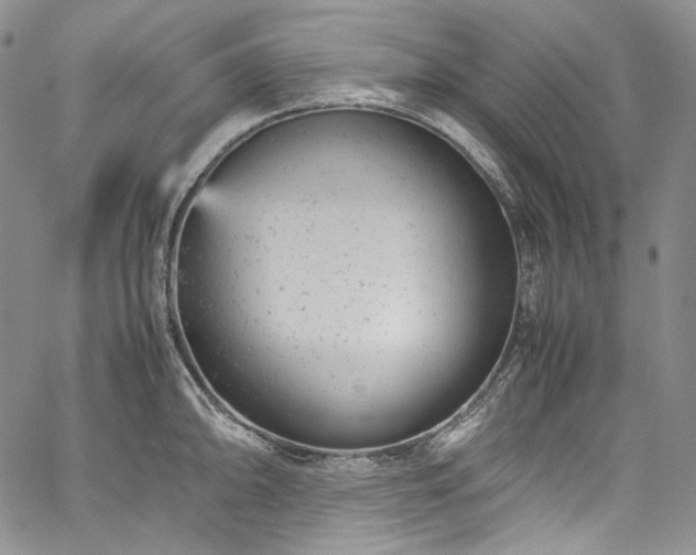 X0000061761094200512021503
