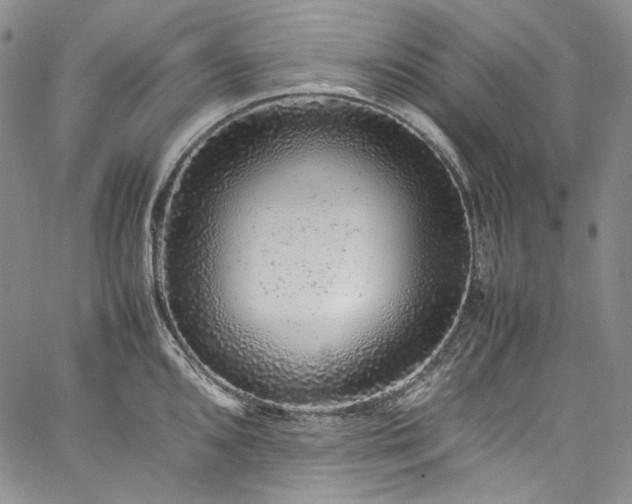 X0000061761096200512021503