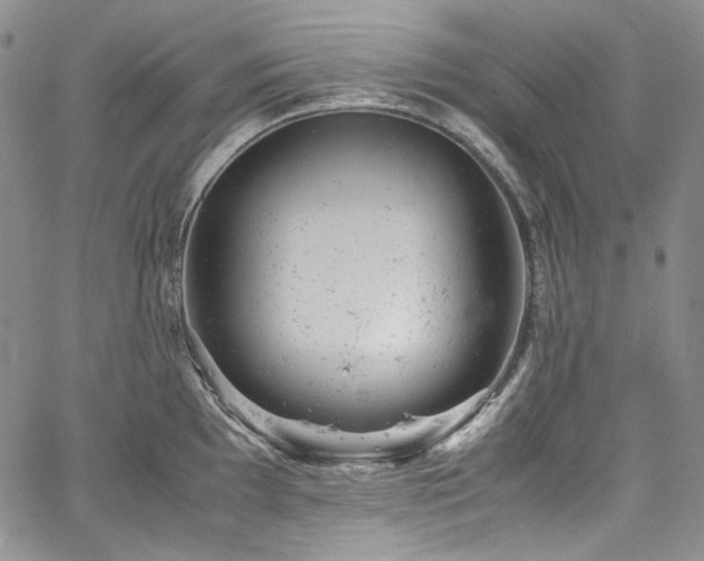 X0000061761097200512021503