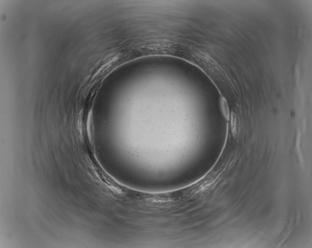 X0000061761107200512021503