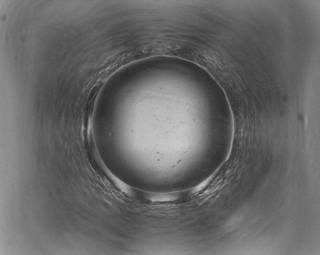 X0000061761109200512021503