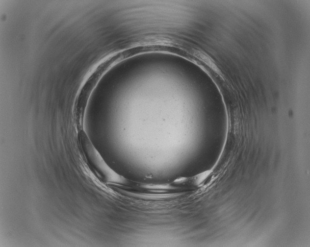 X0000061761116200512021503
