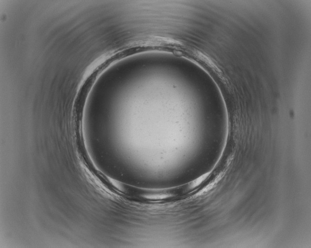 X0000061761122200512021503