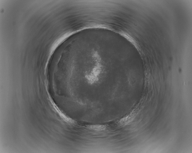 X0000061761127200512021503