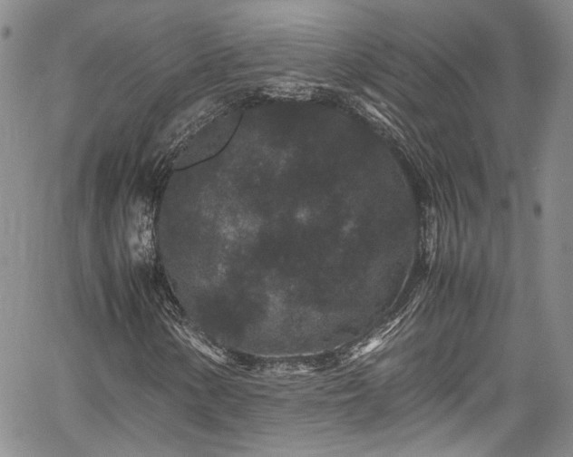 X0000061761154200512021502