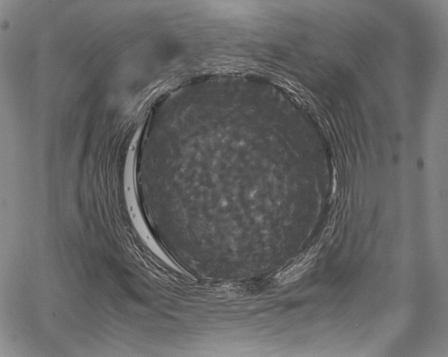 X0000061761155200512021502