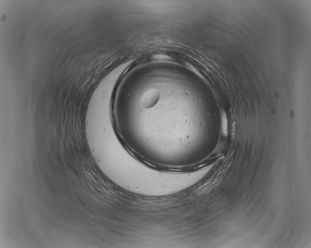 X0000061761156200512021502