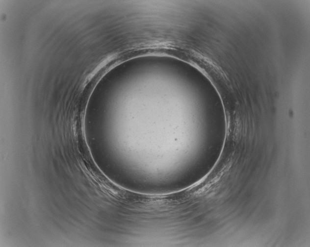 X0000061761162200512021502