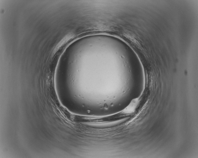 X0000061761163200512021502