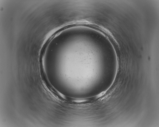 X0000061761176200512021502