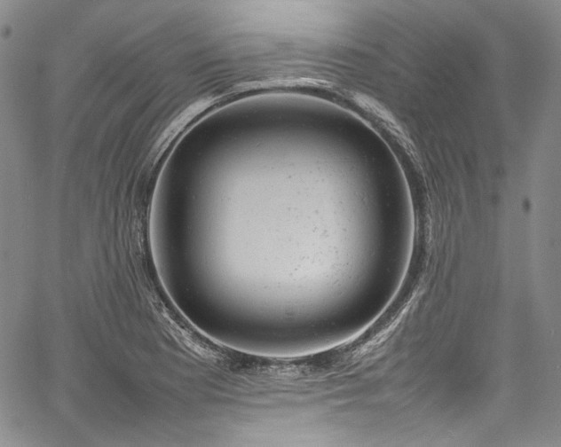 X0000061761177200512021502