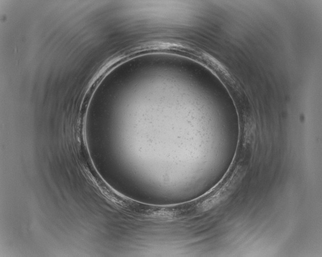 X0000061761178200512021502