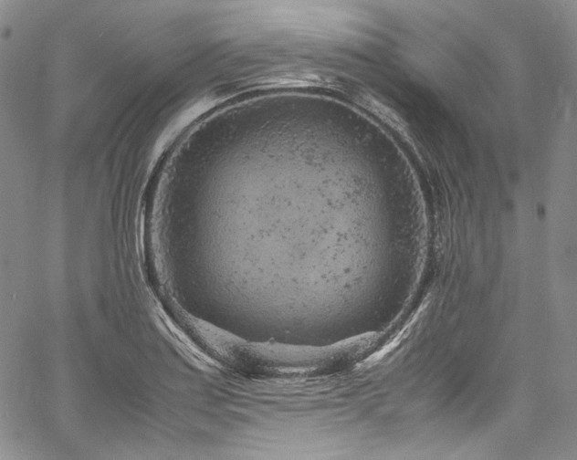 X0000061761179200512021502