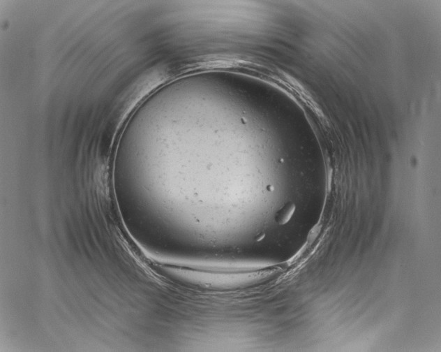 X0000061761186200512021502