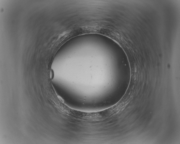 X0000061761201200512021501
