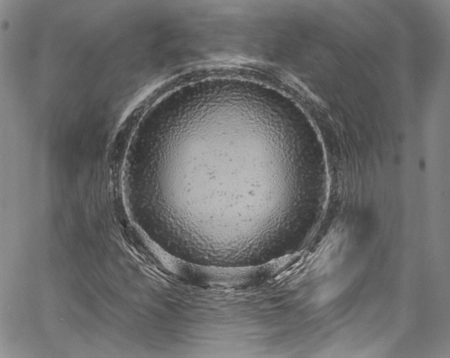 X0000061761208200512021501