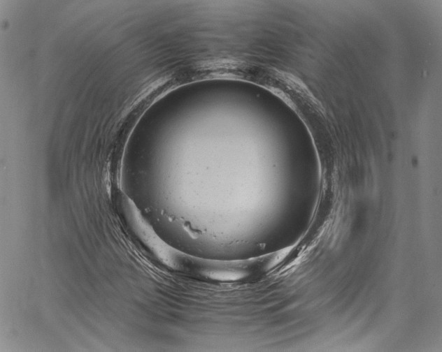 X0000061761209200512021501