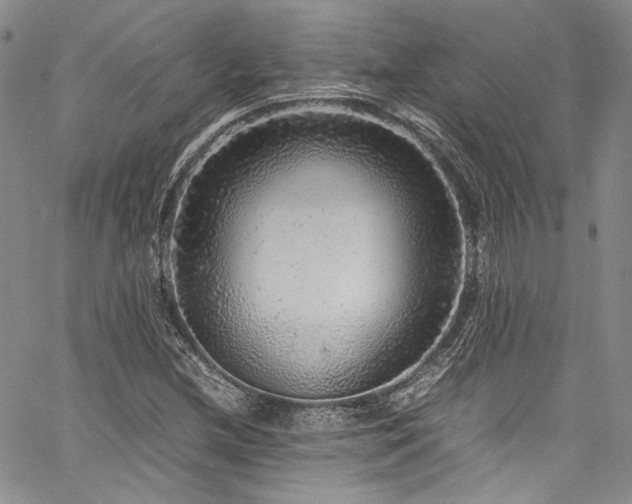 X0000061761212200512021501
