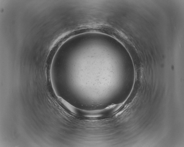 X0000061761214200512021501
