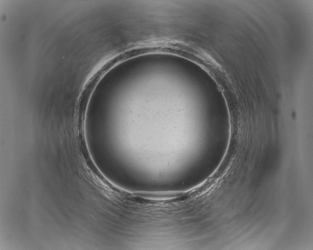X0000061761216200512021501