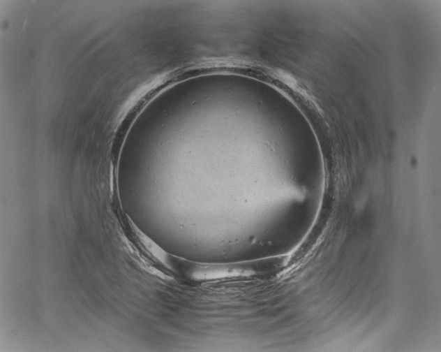 X0000061761221200512021501