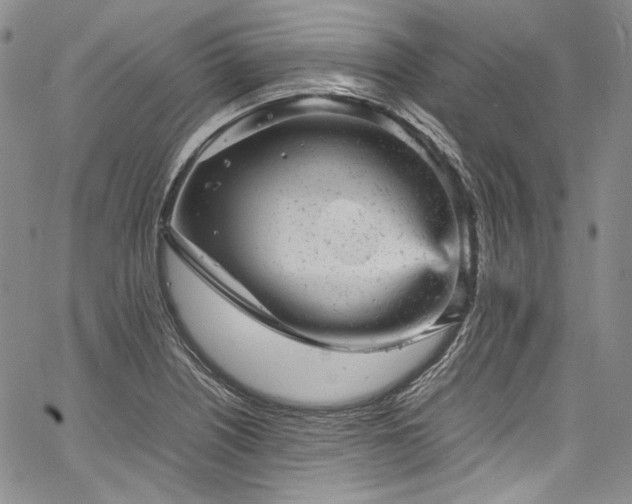 X0000061761226200512021501