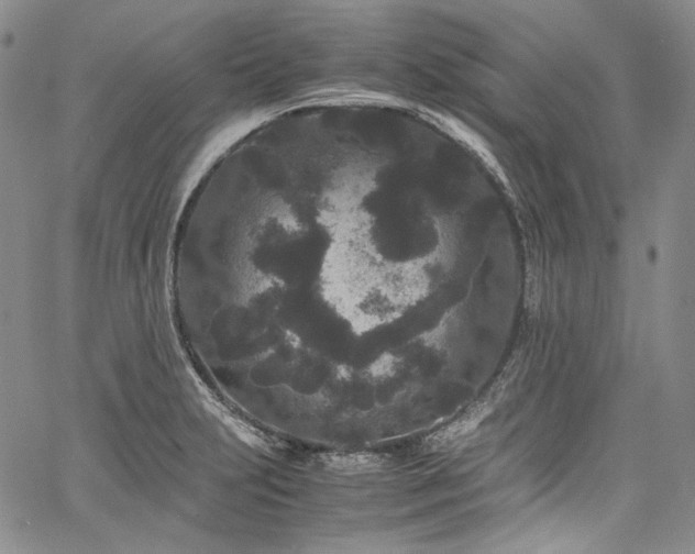 X0000061761231200512021501