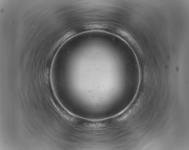 X0000061761233200512021501