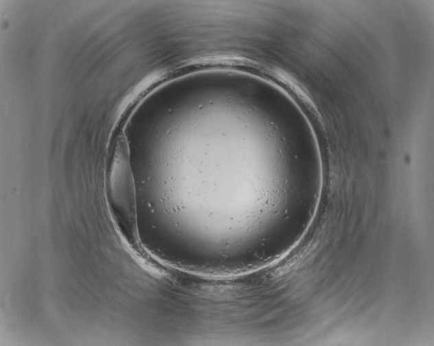 X0000061761237200512021501