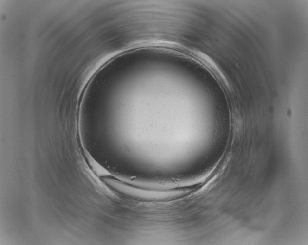 X0000061761244200512021502